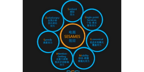惠州大亞灣眾凱教育信息咨詢服務部 專業信息技術咨詢服務解析