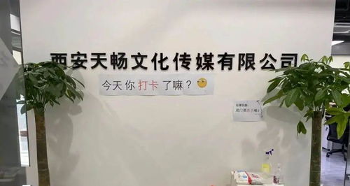 政策服務(wù)雙管齊下，數(shù)字文創(chuàng)賦能未來 曲江369園區(qū)助力企業(yè)紓困發(fā)展